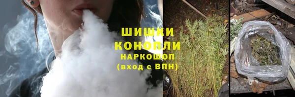 прущие крисы Бородино