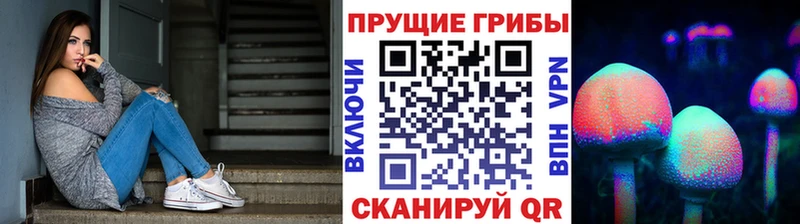 Псилоцибиновые грибы GOLDEN TEACHER  Зуевка 